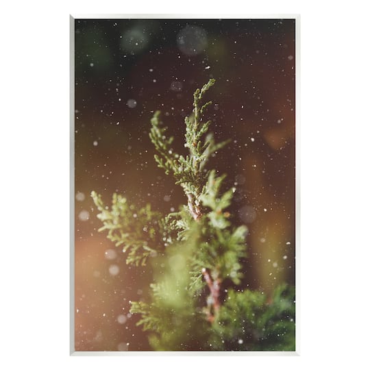 Stupell Industries Winter Snowfall Night Pine Tree Wall Plaque Art